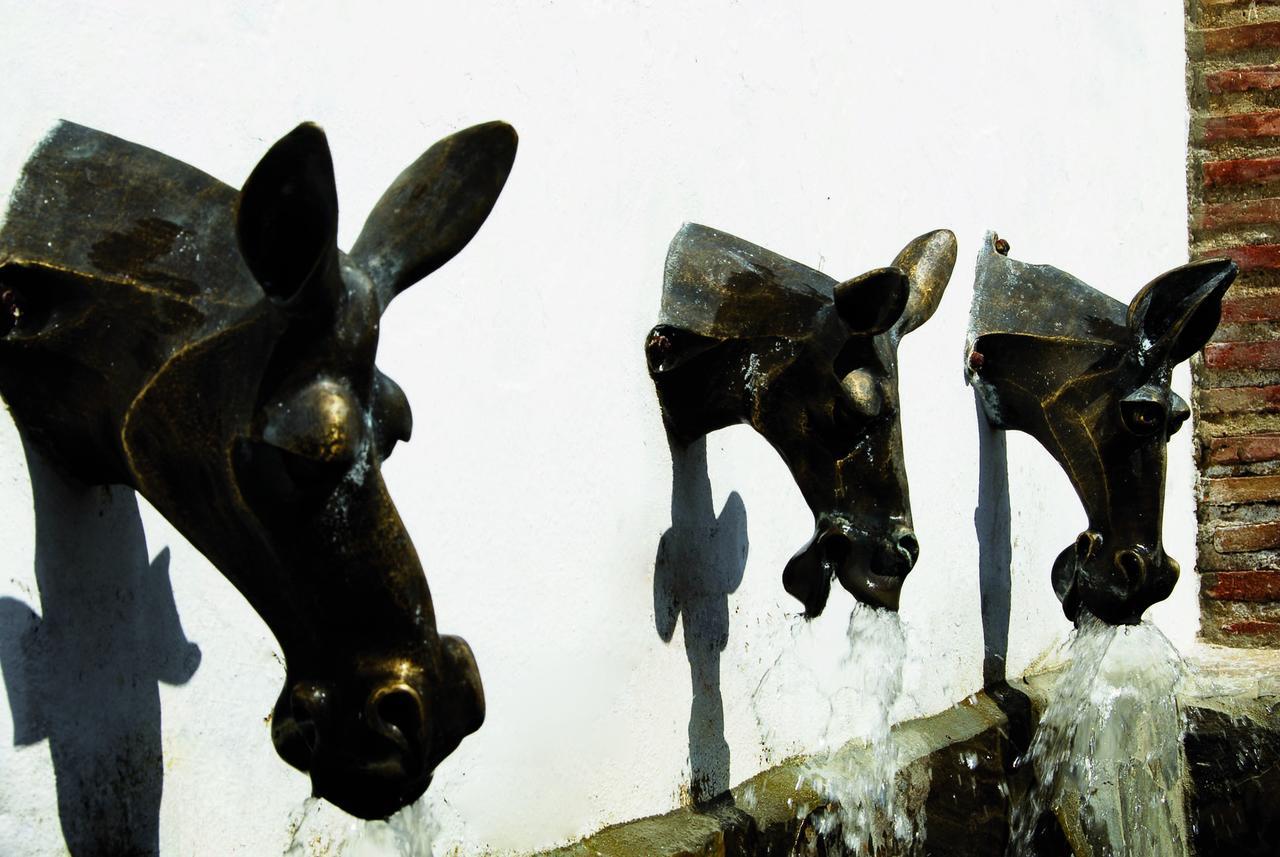 Villa La Roca - A Fusion Of Modern And Typical Andalucian Architecture มอนเตกอร์โต ภายนอก รูปภาพ